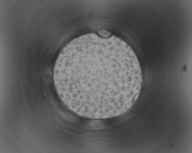 X0000115730183200912241634