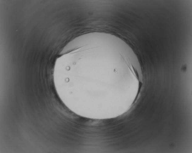 X0000115730186200912241634