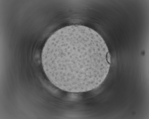 X0000115730187200912241634