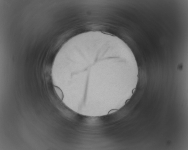 X0000115730189200912241634