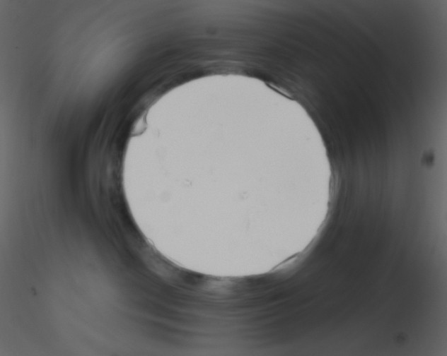 X0000115730190200912241634