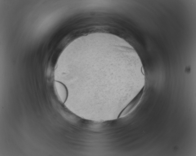 X0000115730191200912241634