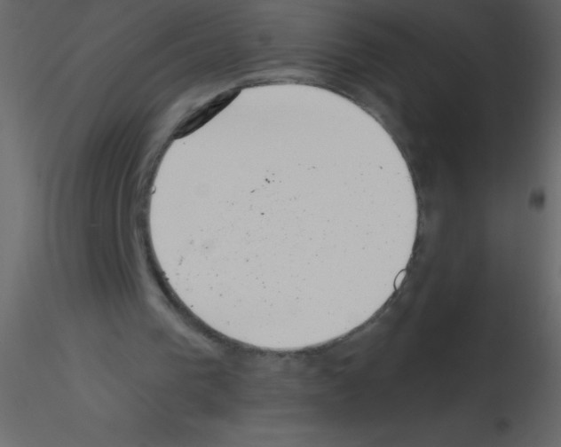 X0000115730193200912241633
