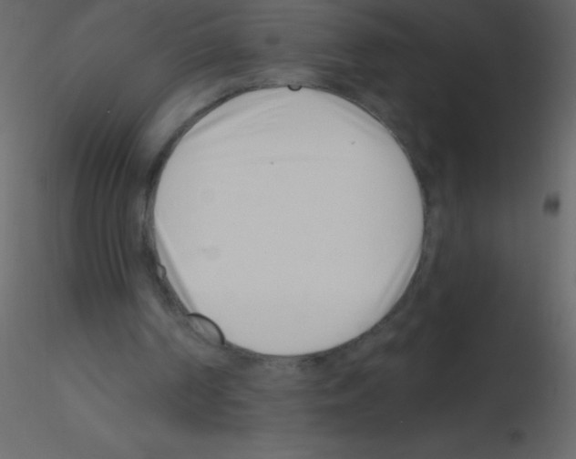 X0000115730194200912241633