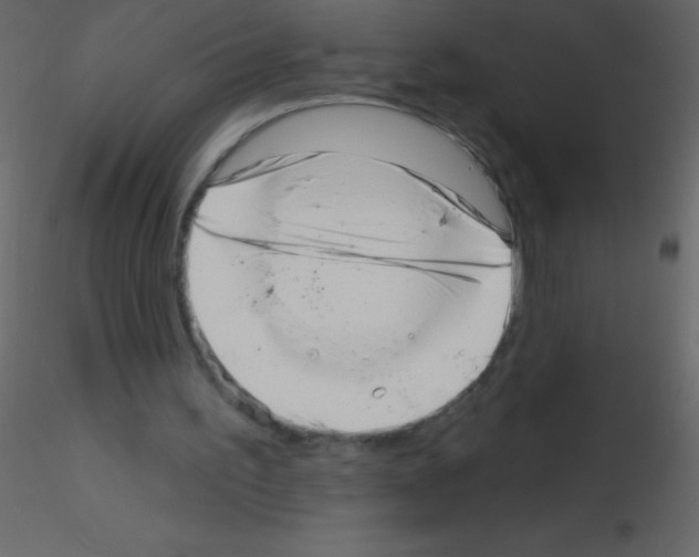 X0000115730195200912241633