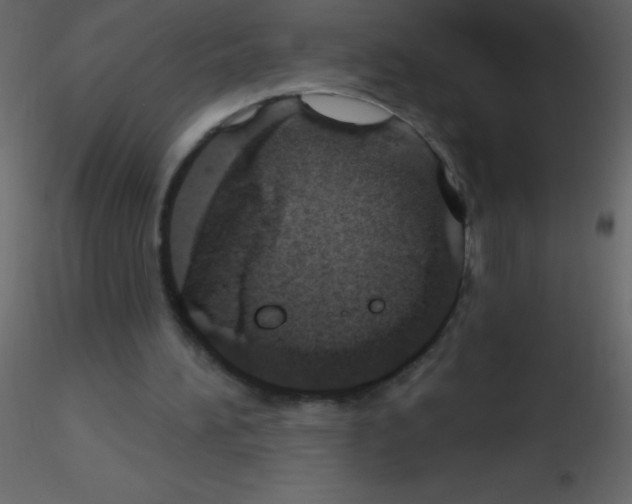 X0000115730196200912241633