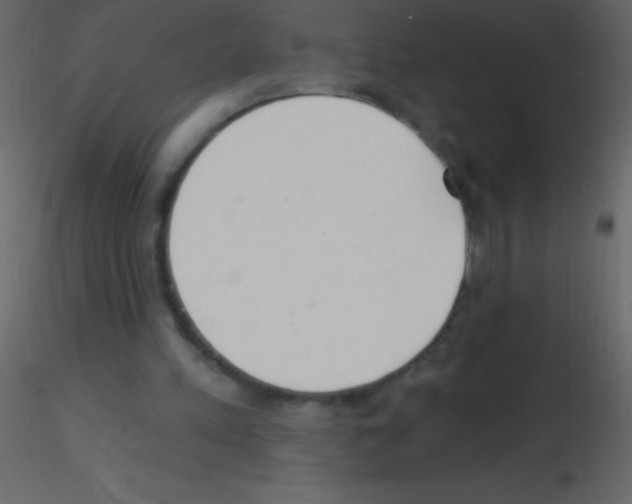 X0000115730197200912241633