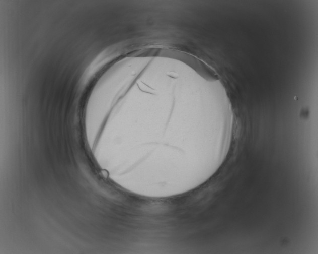 X0000115730198200912241633