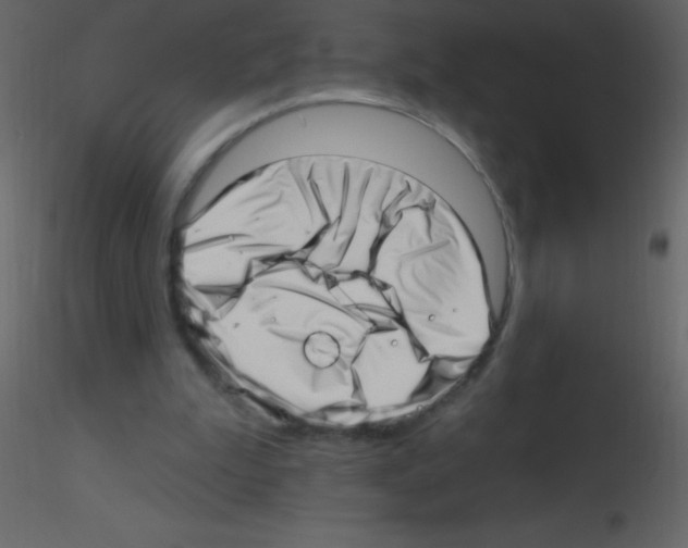 X0000115730199200912241633