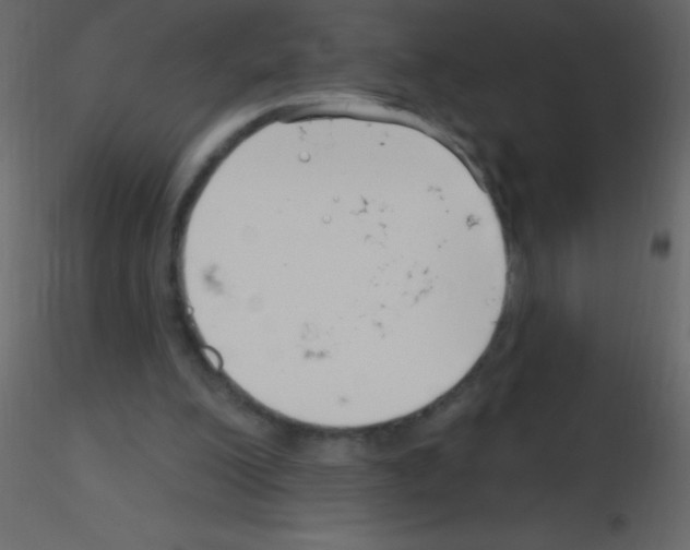 X0000115730200200912241633