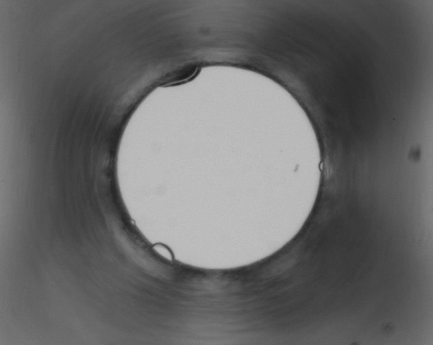 X0000115730201200912241633
