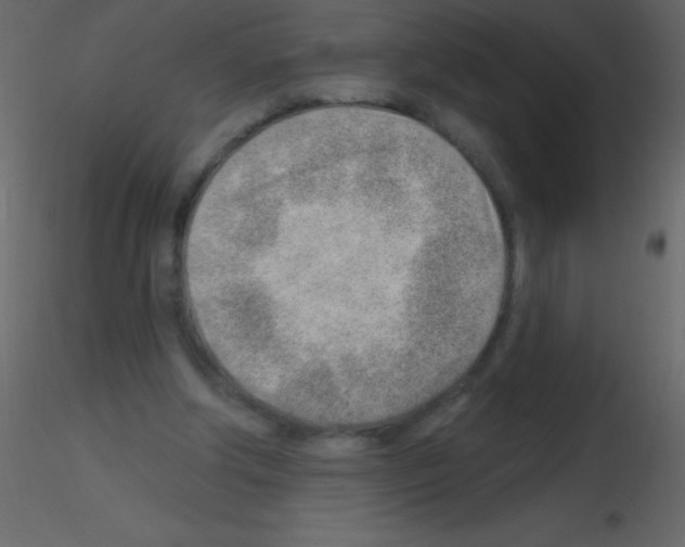 X0000115730202200912241633