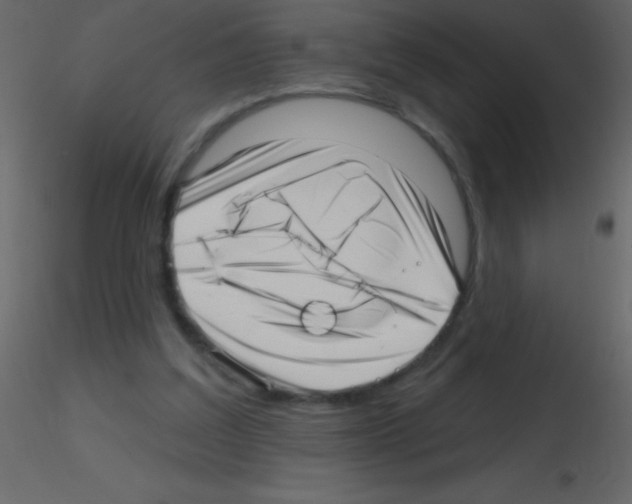 X0000115730203200912241633