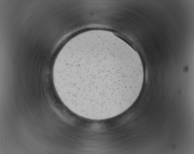 X0000115730204200912241633