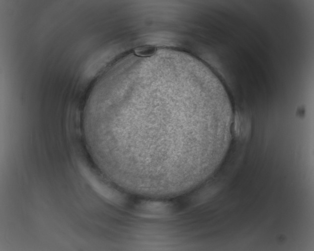 X0000115730205200912241633