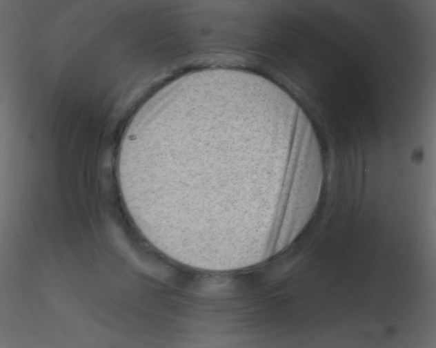 X0000115730206200912241633