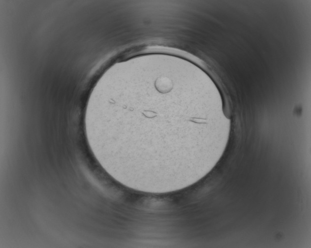 X0000115730208200912241633