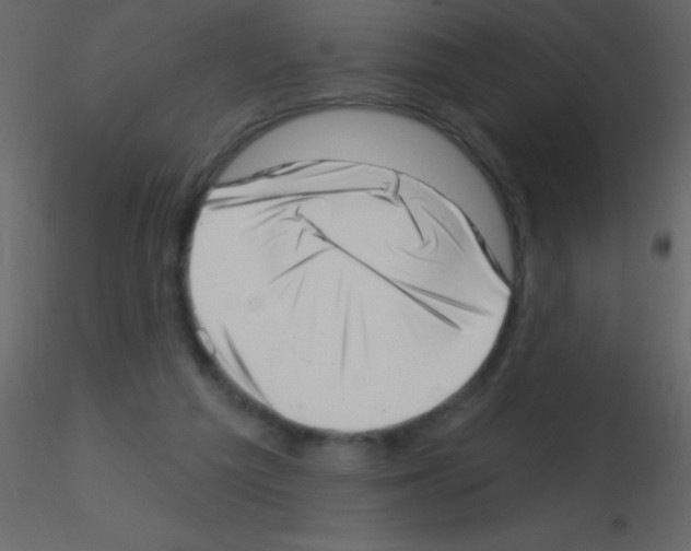 X0000115730209200912241633
