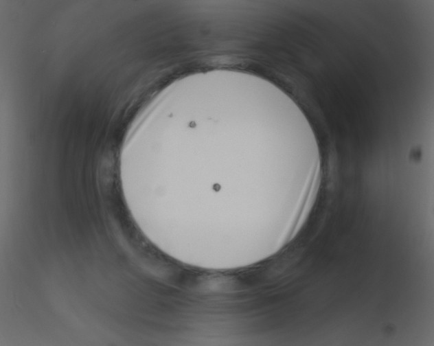 X0000115730210200912241633