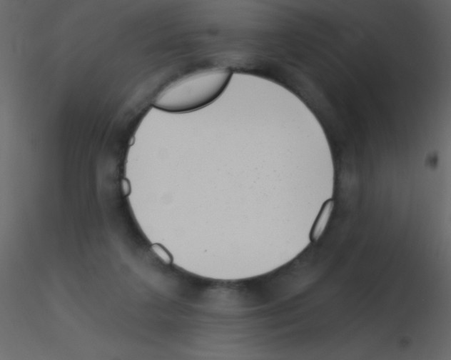 X0000115730211200912241633