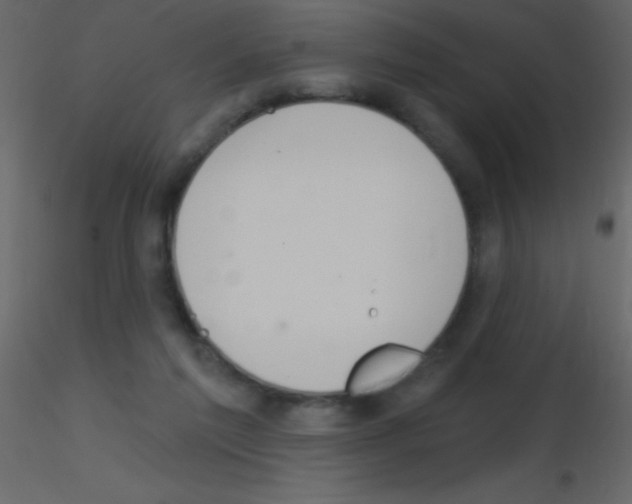 X0000115730213200912241633