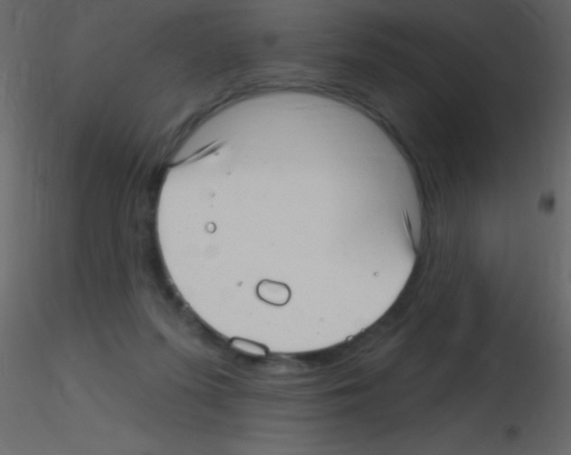 X0000115730215200912241633
