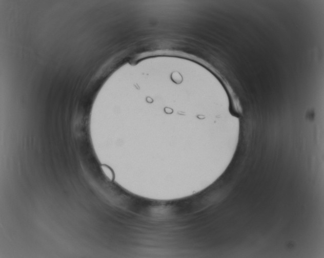 X0000115730216200912241633