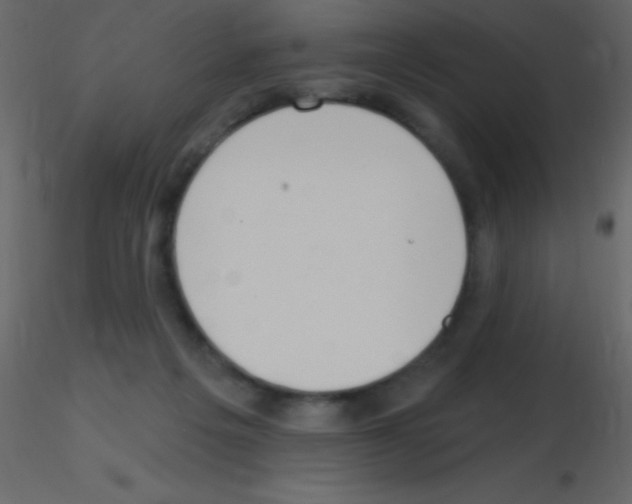 X0000115730217200912241633