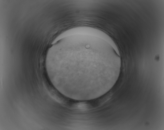X0000115730219200912241633