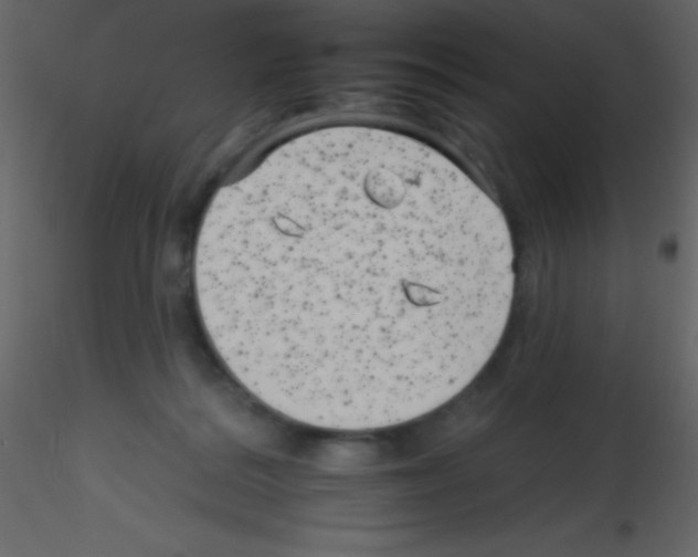X0000115730220200912241633