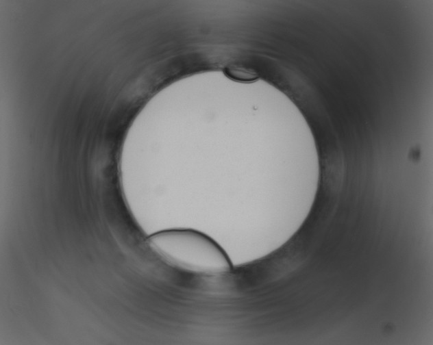 X0000115730221200912241633
