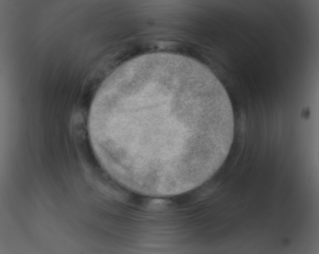 X0000115730222200912241633