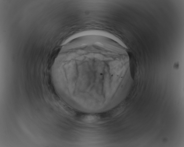 X0000115730223200912241633