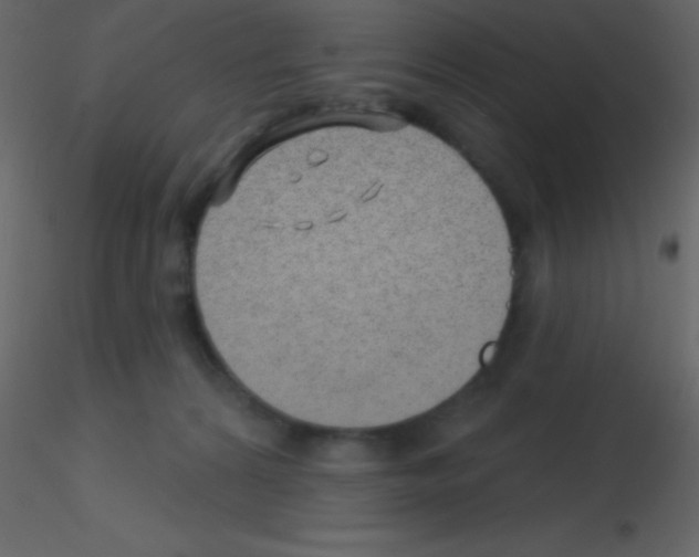 X0000115730224200912241633