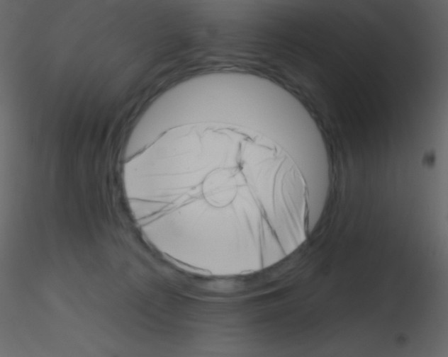 X0000115730225200912241633