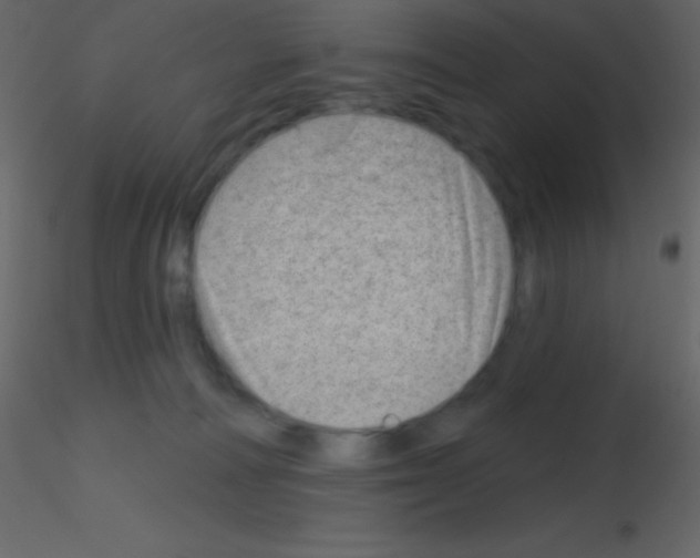 X0000115730226200912241633