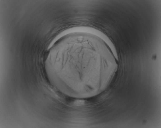 X0000115730227200912241633