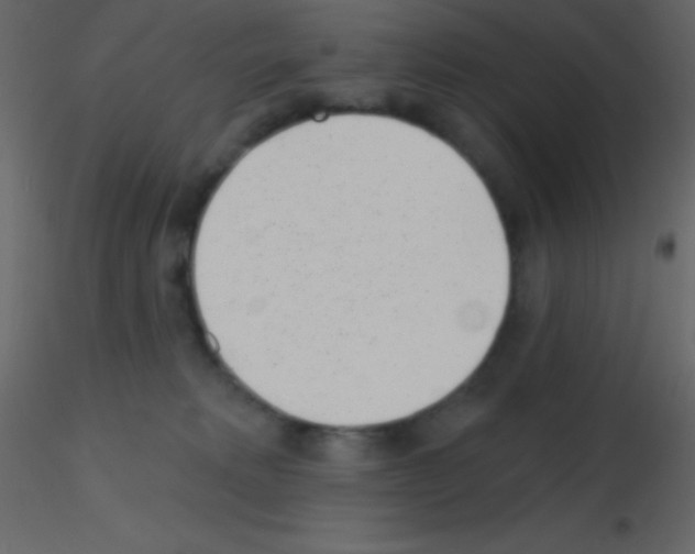 X0000115730229200912241633