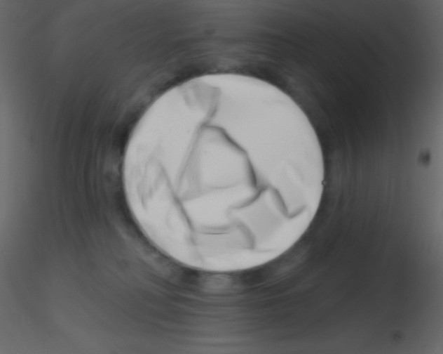 X0000115730230200912241633