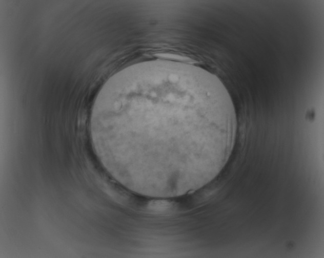 X0000115730231200912241633