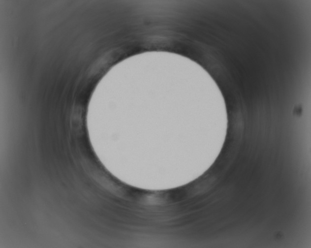 X0000115730232200912241633