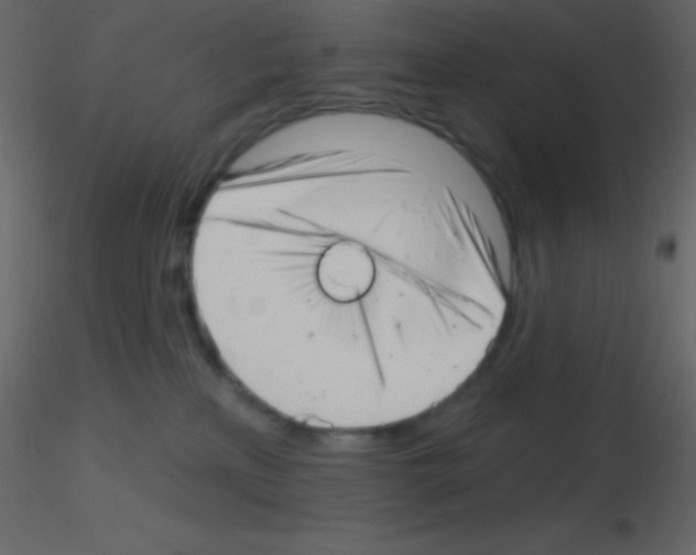 X0000115730233200912241633