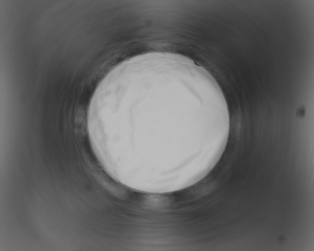 X0000115730234200912241633