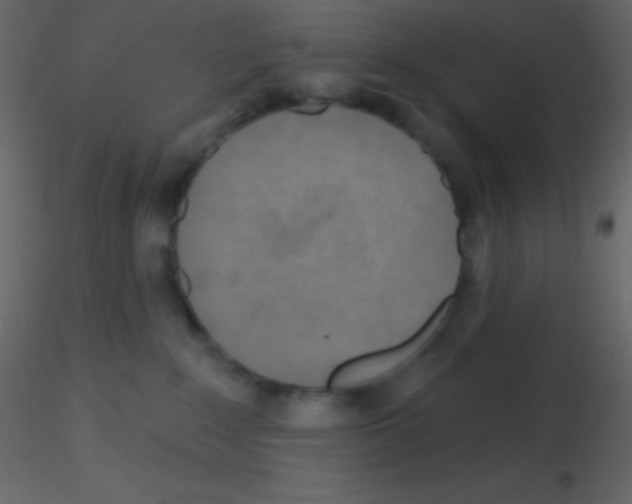 X0000115730235200912241633