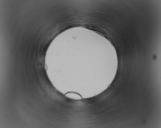 X0000115730236200912241633