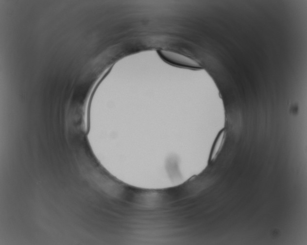X0000115730237200912241633