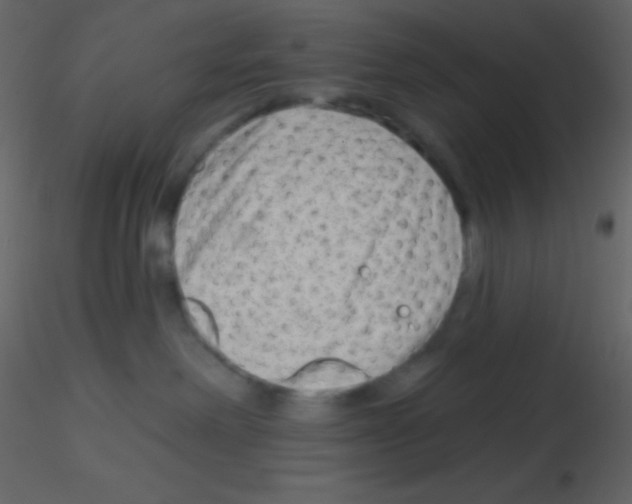 X0000115730238200912241633