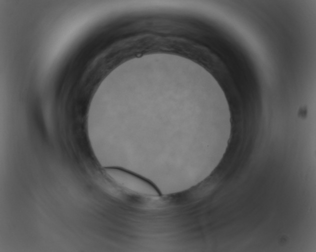 X0000115730239200912241633