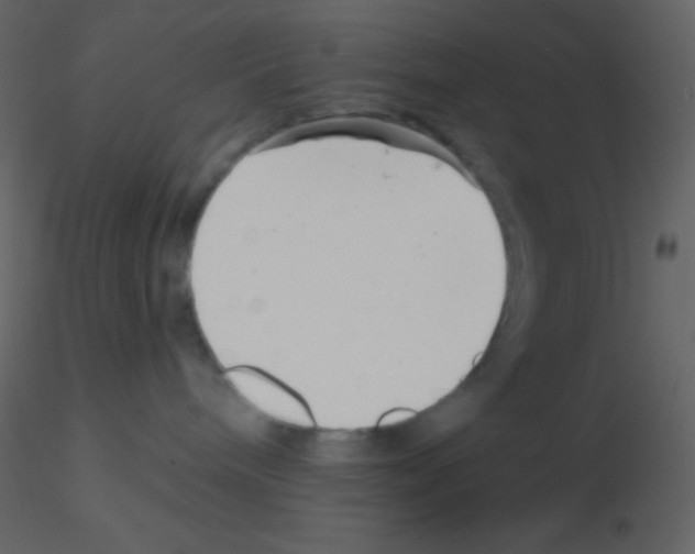 X0000115730240200912241633