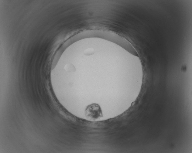 X0000115730241200912241632